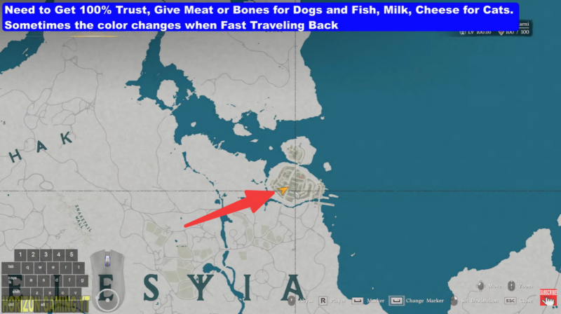 Crimson Desert Saluki Pet Dog Location Guide and Best Foods For Dog Taming