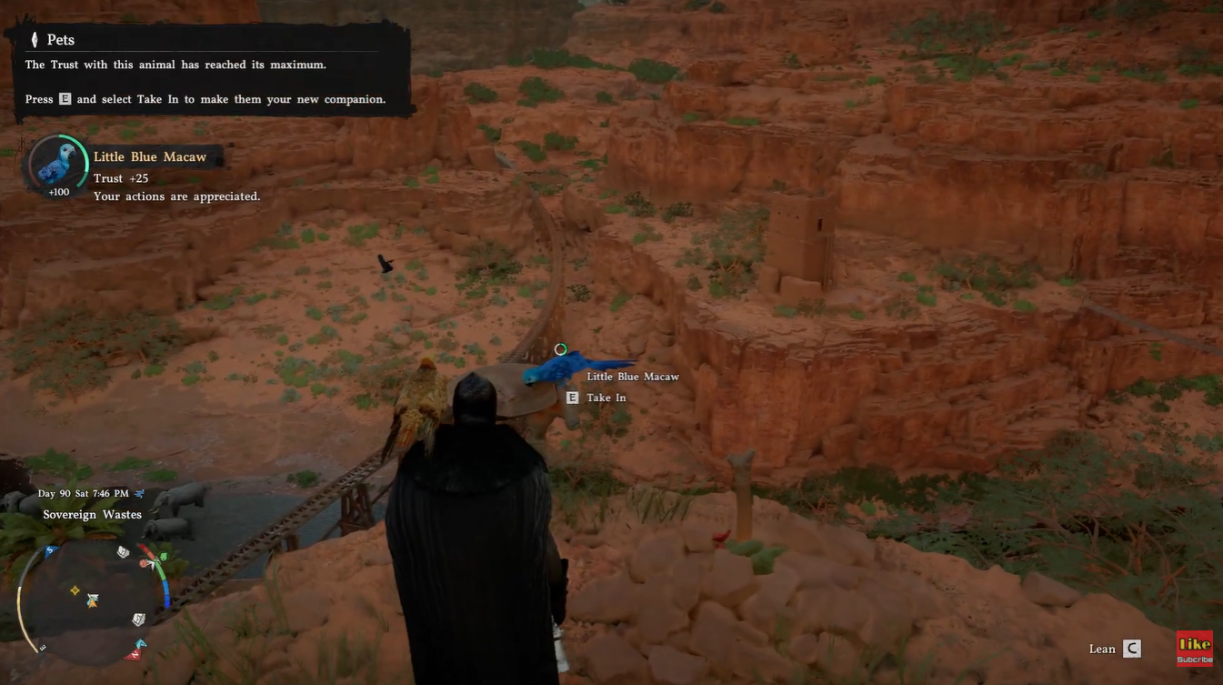 Crimson Desert: Little Blue Macaw Bird Location and How to Pet Guide