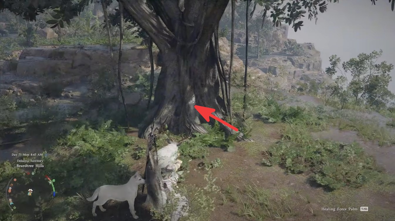 Where to Get Rubber in Crimson Desert: All Rubber Locations and Farming Methods Explained