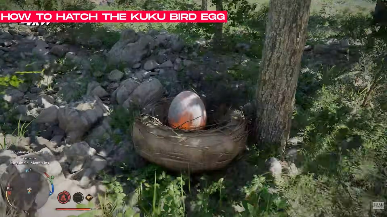Crimson Desert Leaping Kuku Bird Mount Guide: Kuku Bird Egg Location and Hatching Explained
