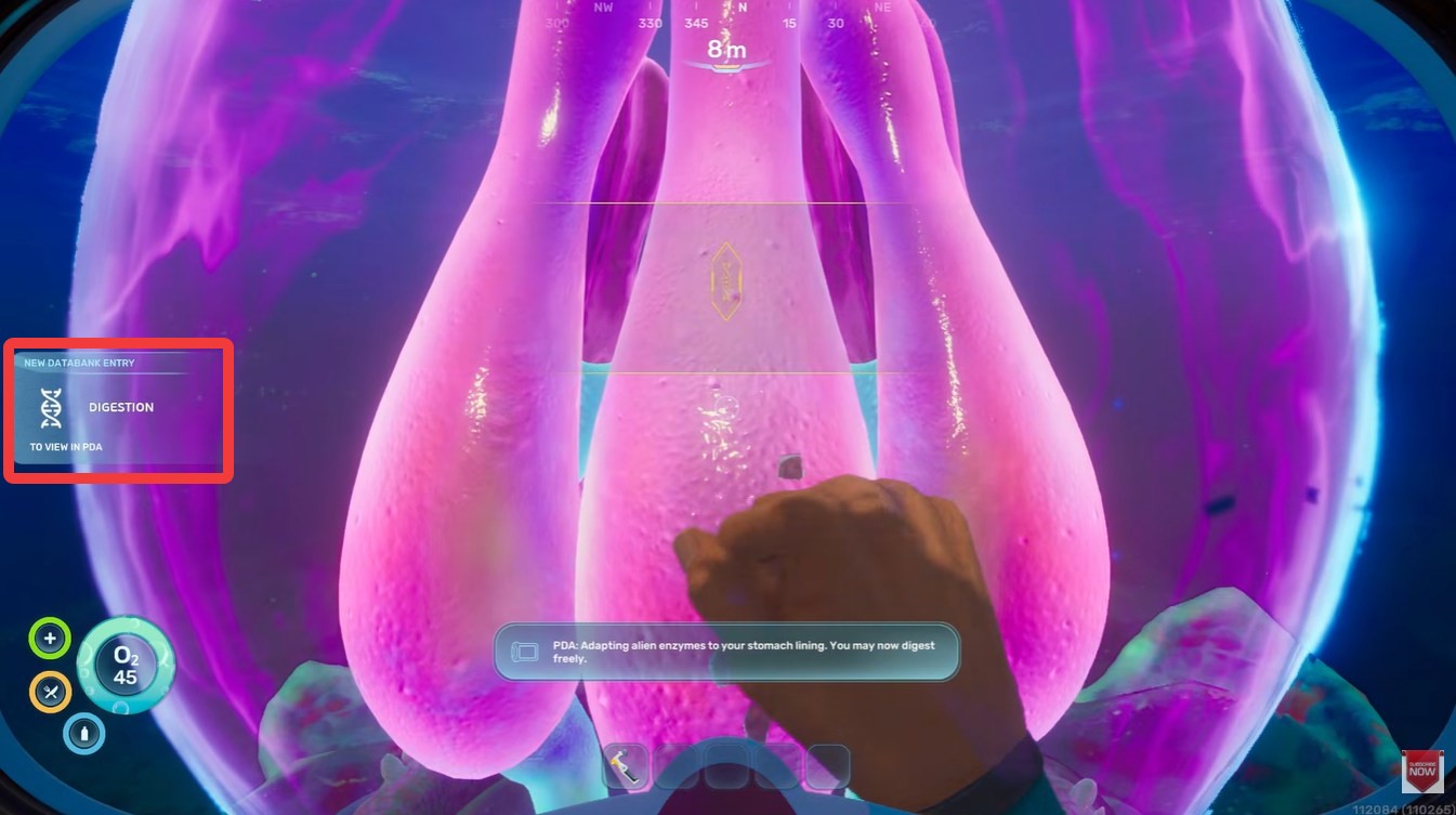 Subnautica 2 Digestion Adaptation Guide for Early Access: How to Eat Food in Subnautica 2