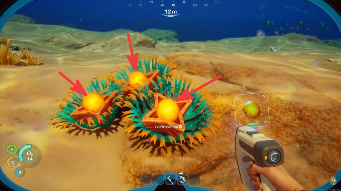 Subnautica 2 Lucifer Rotsac Locations and Rubber Crafting Guide
