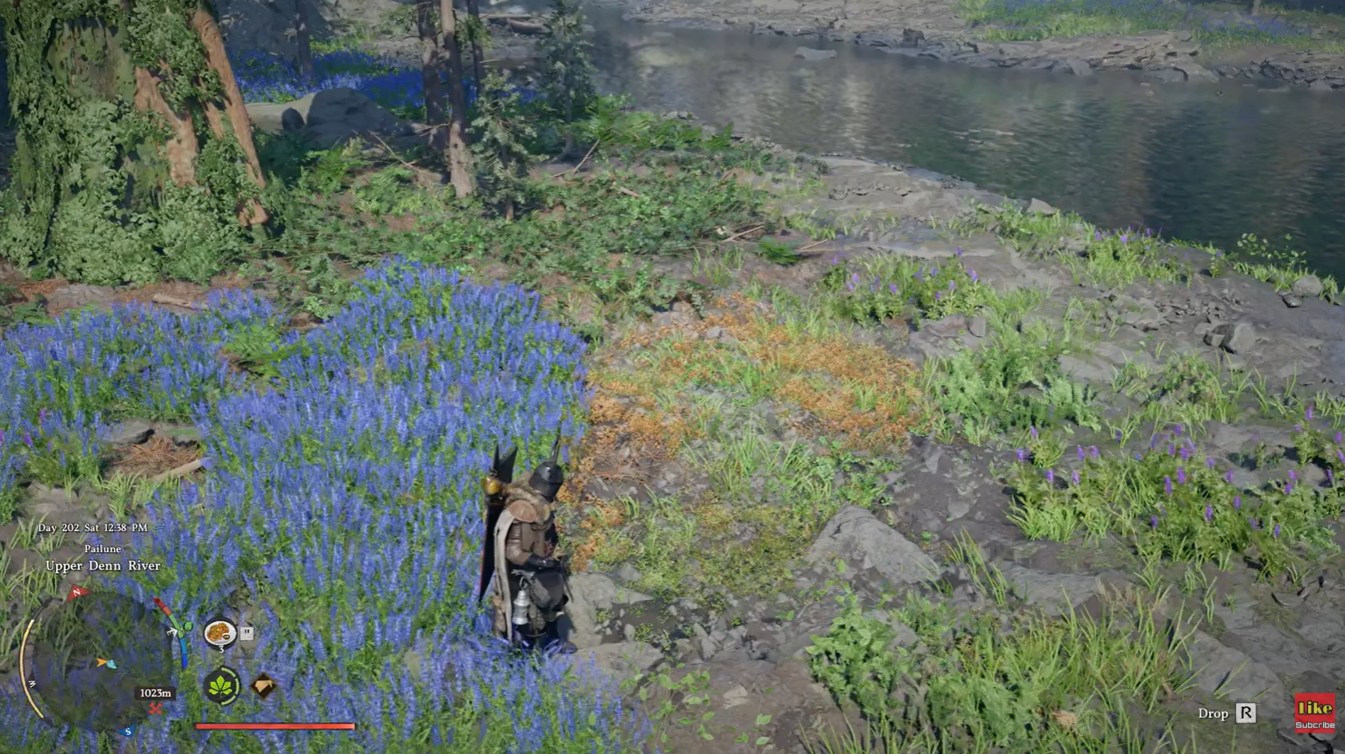 Coot bird pet location in Crimson Desert