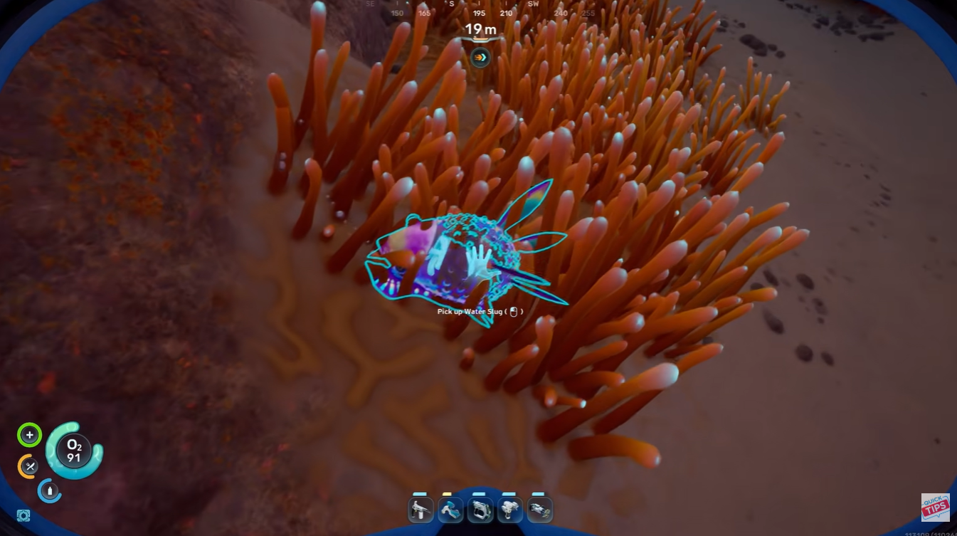 How to Find Water Slugs and Get Water in Subnautica 2 Early