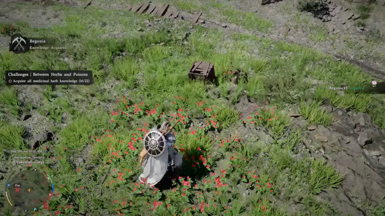 Crimson Desert Begonia Guide: Best Locations, Uses, and Fast Farming Routes