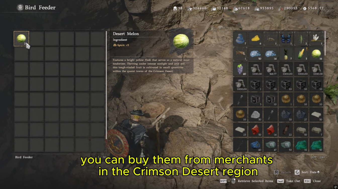 Hyacinth Macaw Location Crimson Desert 