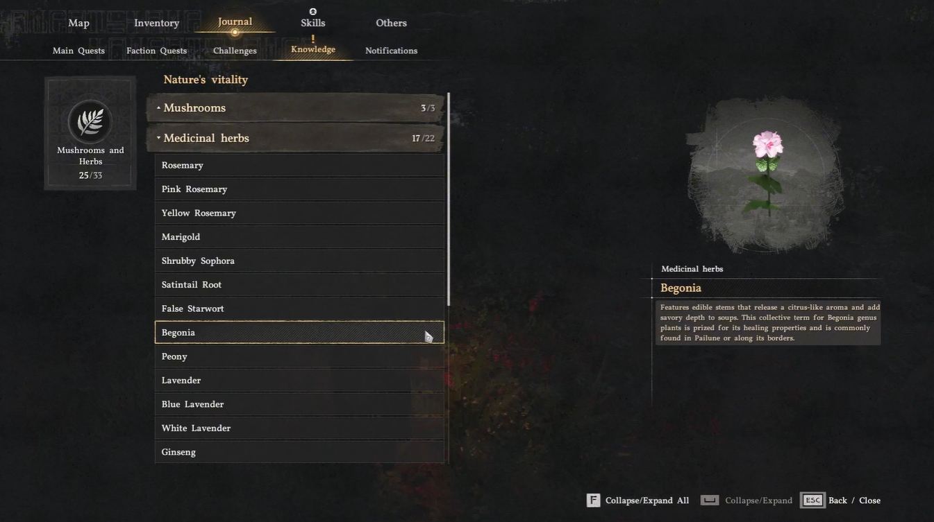 Crimson Desert Begonia Guide: Best Locations, Uses, and Fast Farming Routes