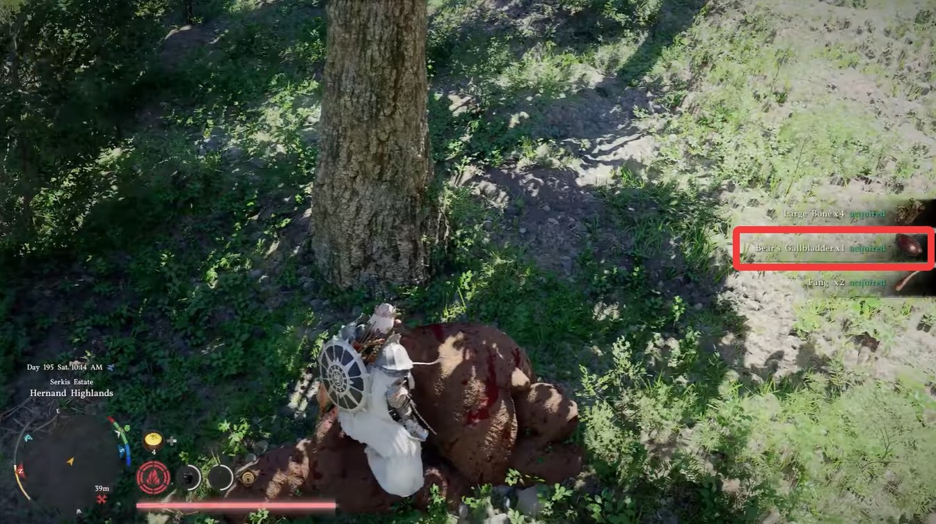 Crimson Desert Bear’s Gallbladder Best Location, Uses, and Farming Strategy Explained