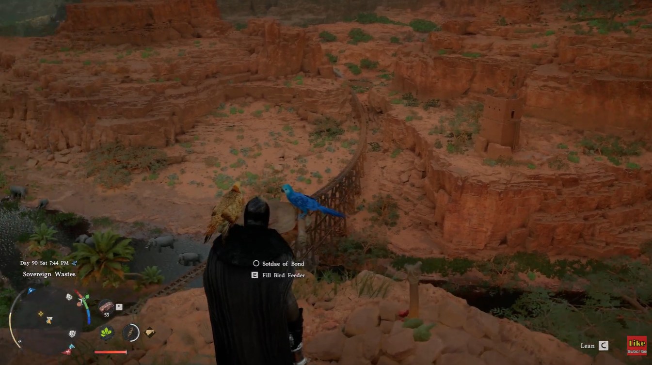 Crimson Desert: Little Blue Macaw Bird Location and How to Pet Guide