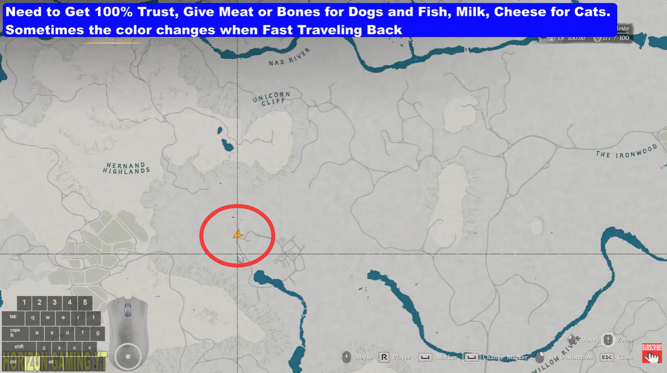 Crimson Desert Hernandian Short-Haired Cat Pet Location and Best Food Guide