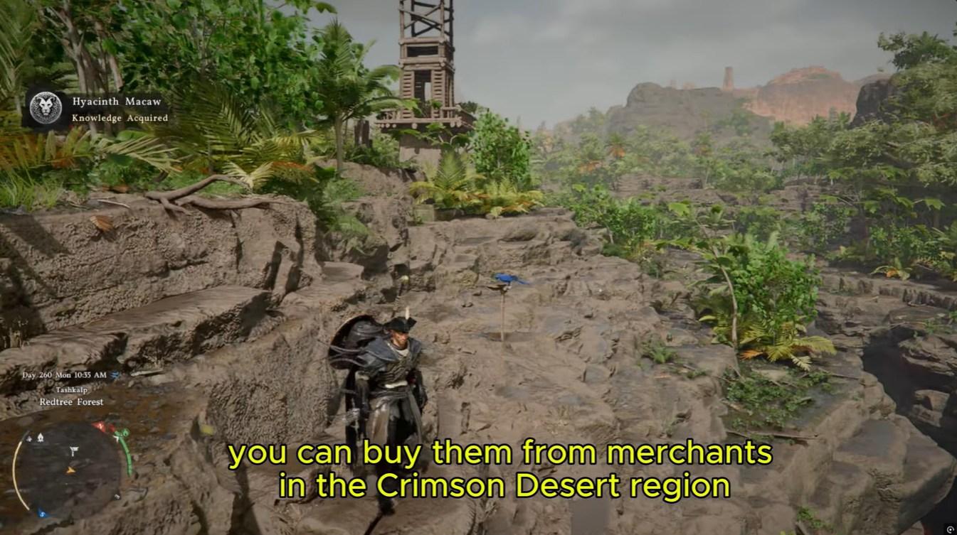 Hyacinth Macaw Location Crimson Desert 