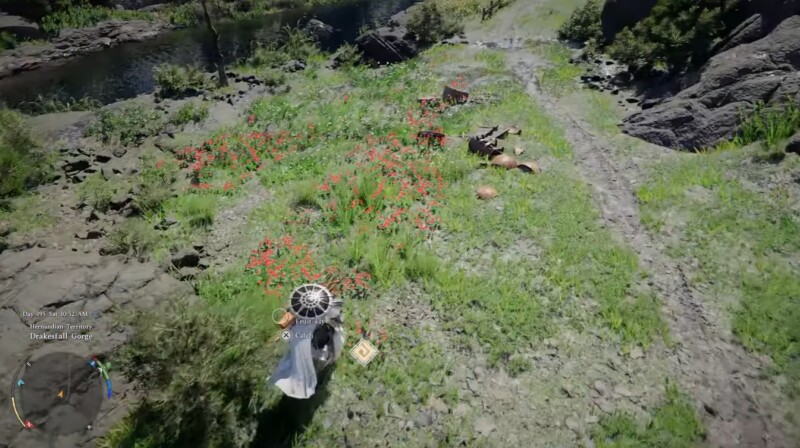 Crimson Desert Begonia Guide: Best Locations, Uses, and Fast Farming Routes