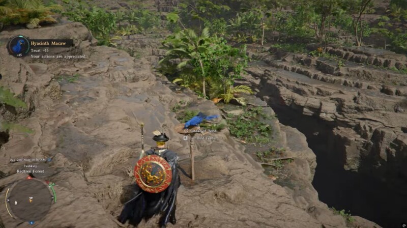 Hyacinth Macaw Location Crimson Desert 