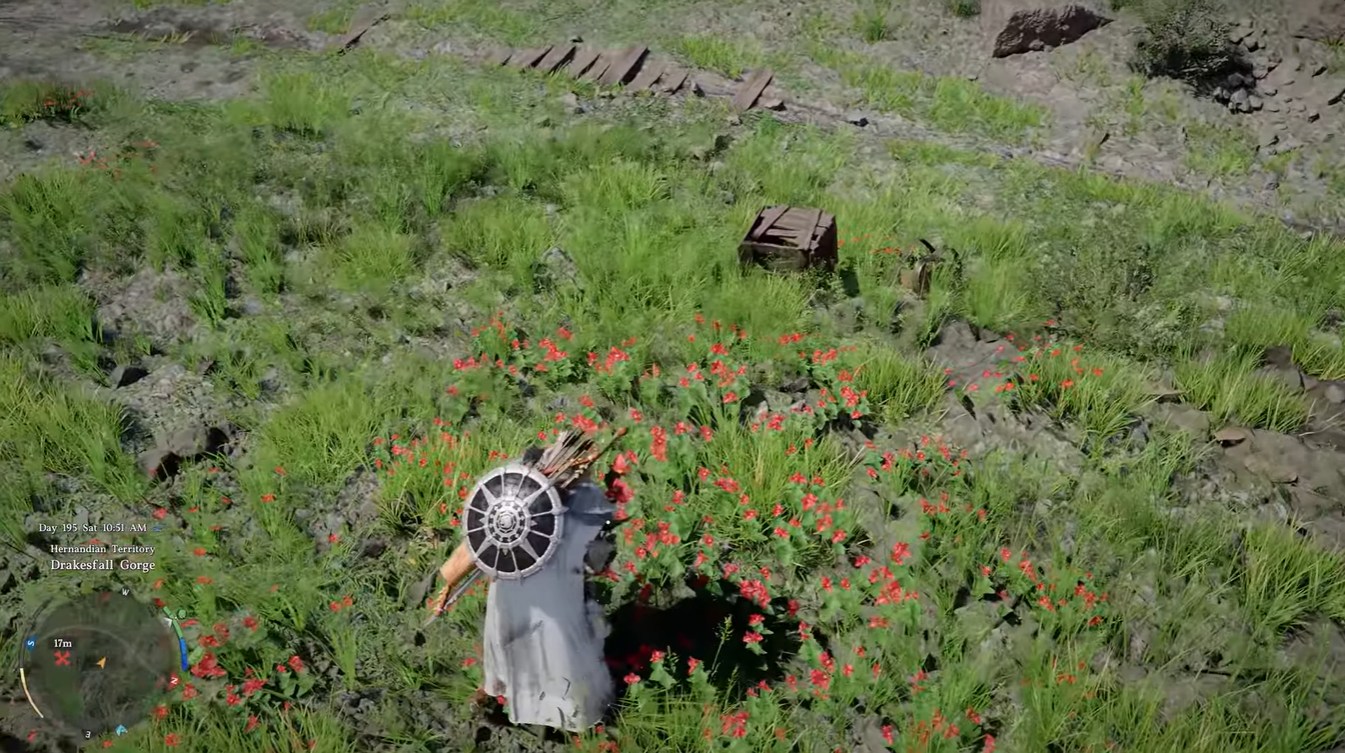 Crimson Desert Begonia Guide: Best Locations, Uses, and Fast Farming Routes