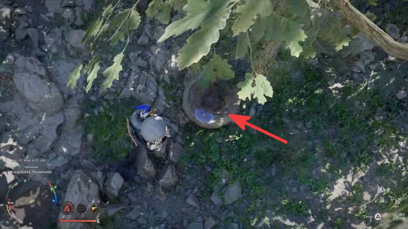 Crimson Desert Leaping Kuku Bird Mount Guide: Kuku Bird Egg Location and Hatching Explained