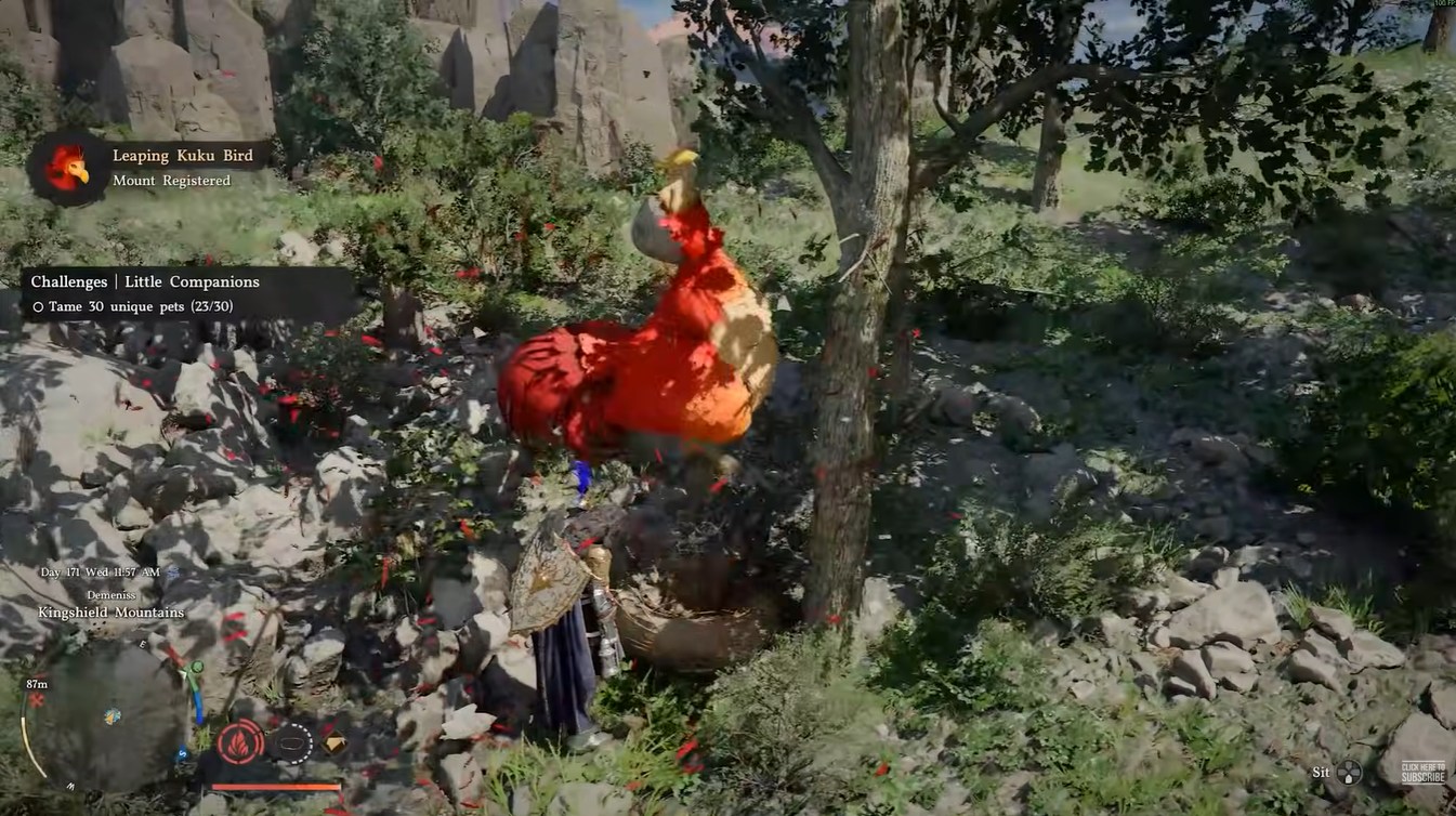 Crimson Desert Leaping Kuku Bird Mount Guide: Kuku Bird Egg Location and Hatching Explained
