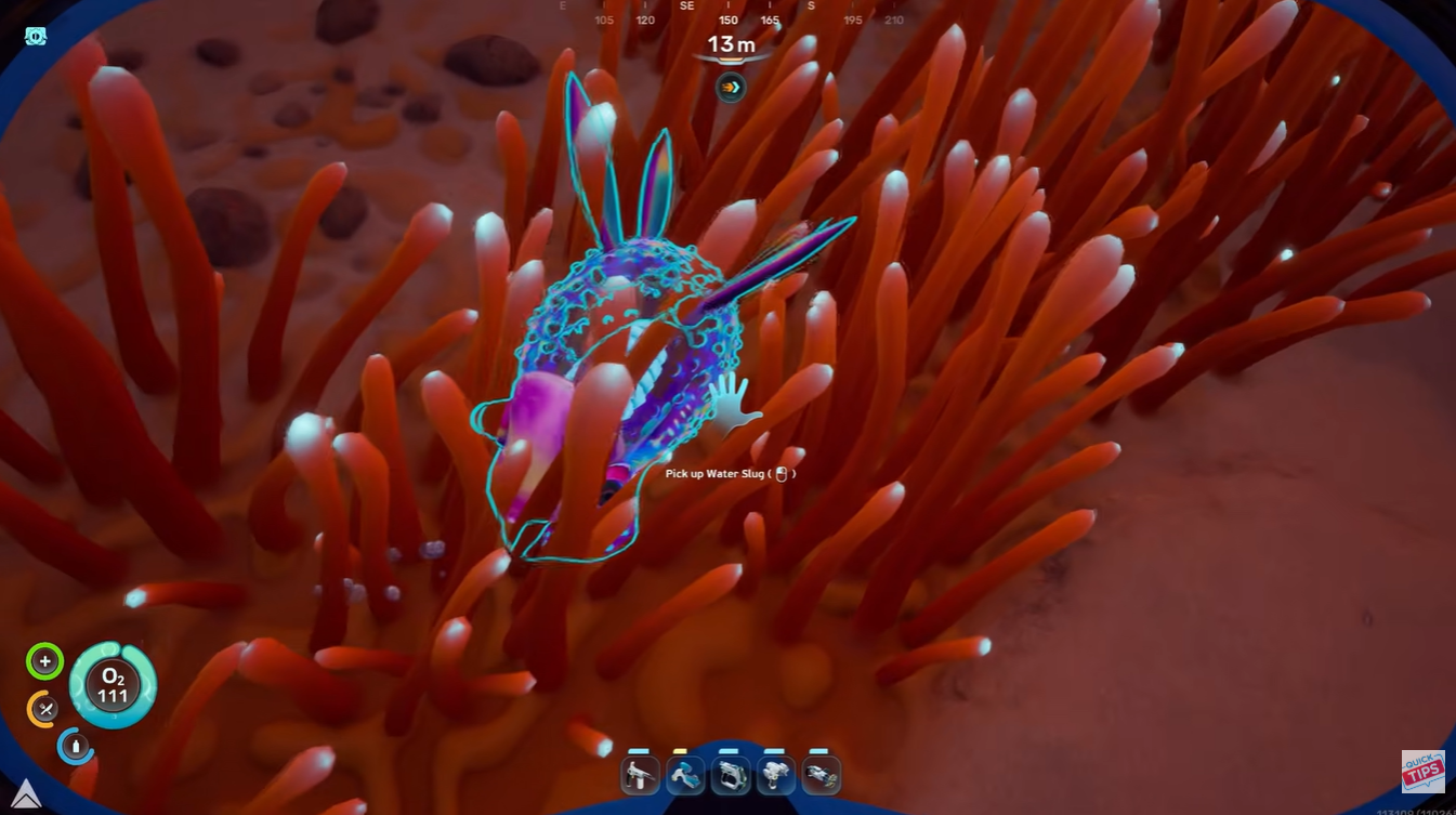 How to Find Water Slugs and Get Water in Subnautica 2 Early