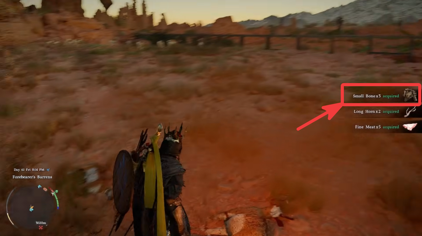 Small bones in cimson desert