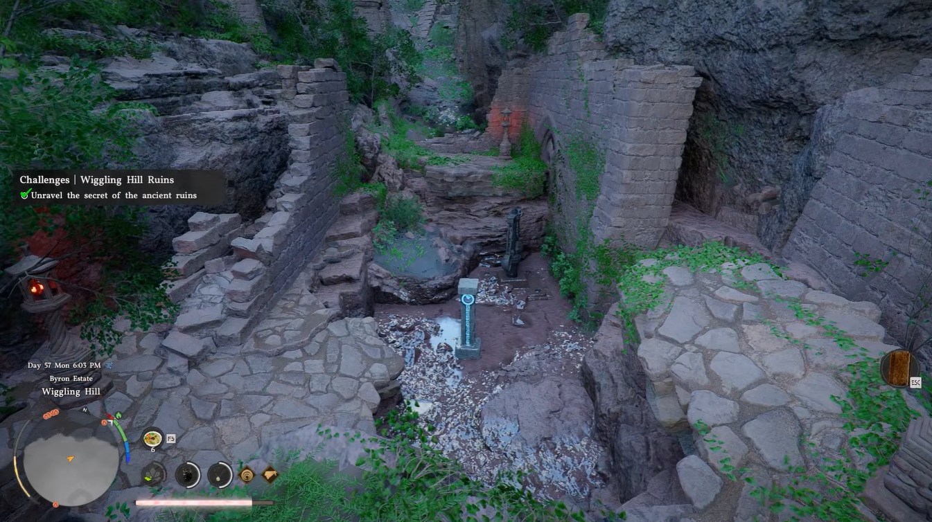 completed wiggling hill puzzle in crimson desert