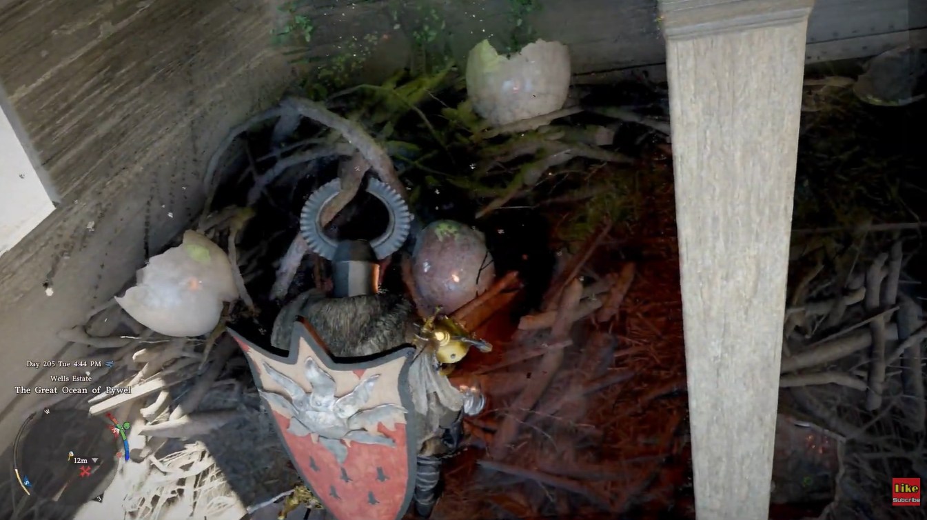 Kuku Bird Chick egg location in Crimson Desert