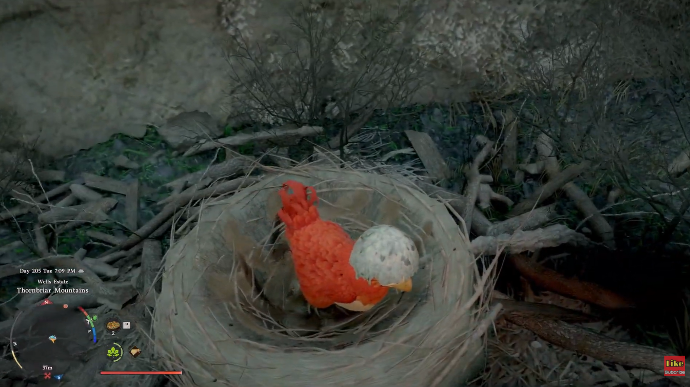 Kuku Bird Chick in Crimson Desert