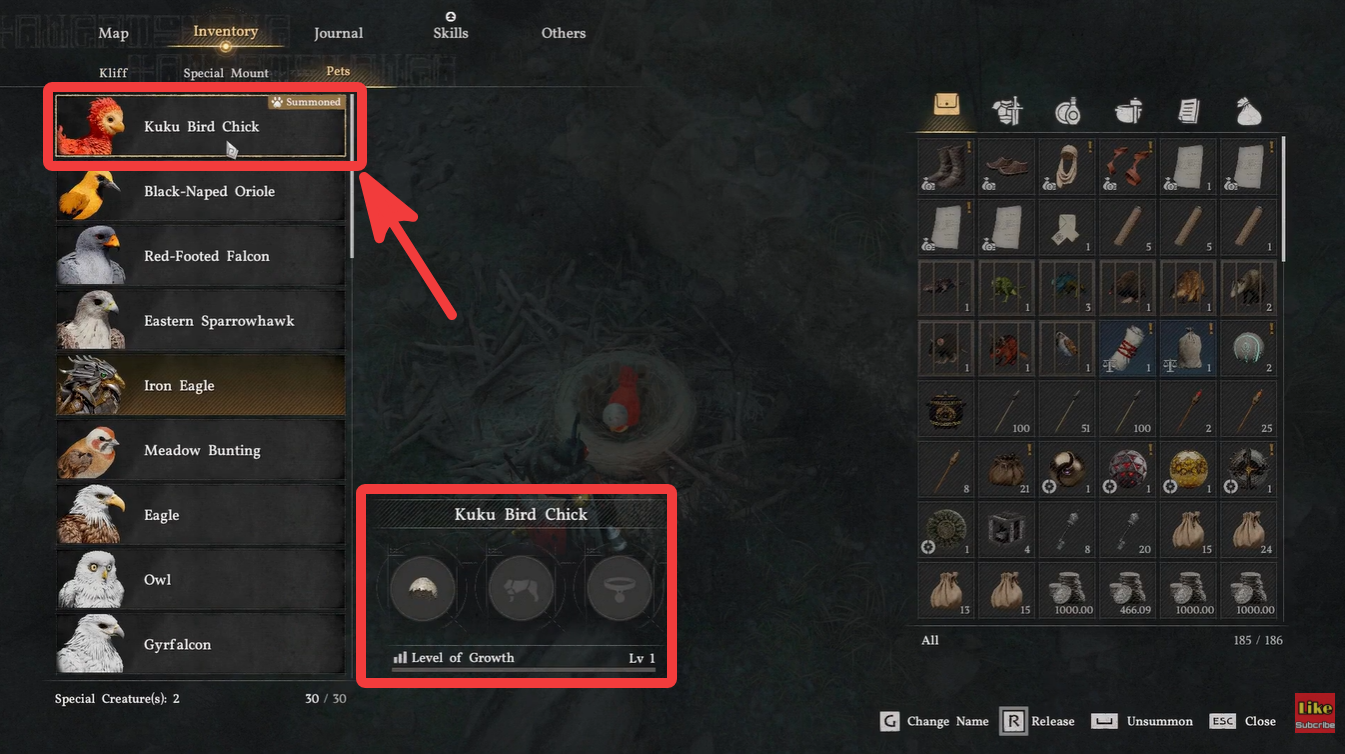 Kuku Bird Chick mount in Crimson Desert