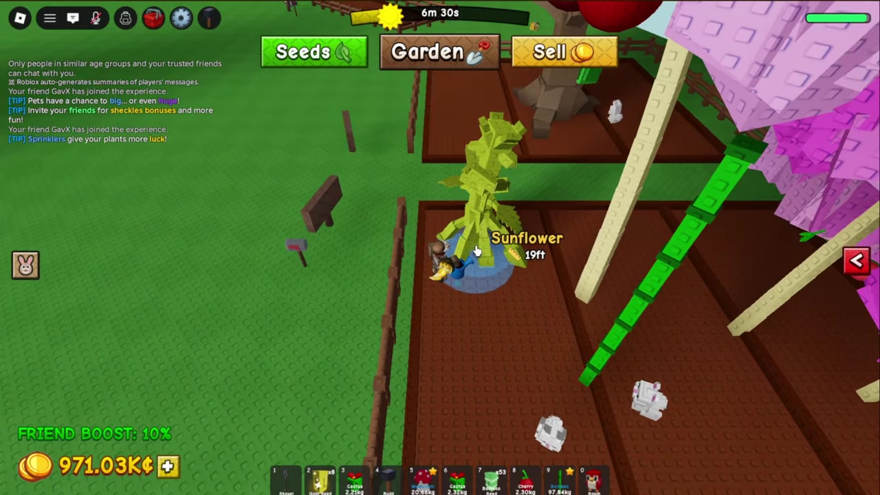Tiny sunflower grows from soil with weight shown onscreen