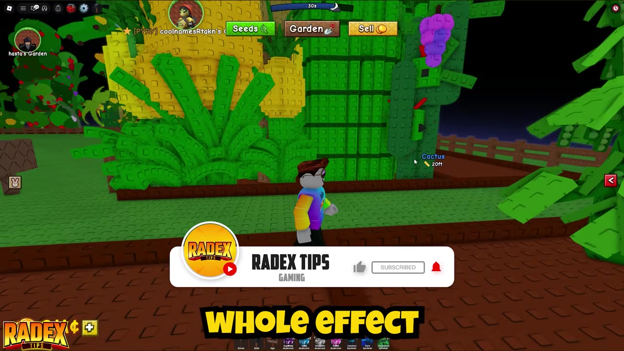 What the Turtle pet does in Grow a Garden 2