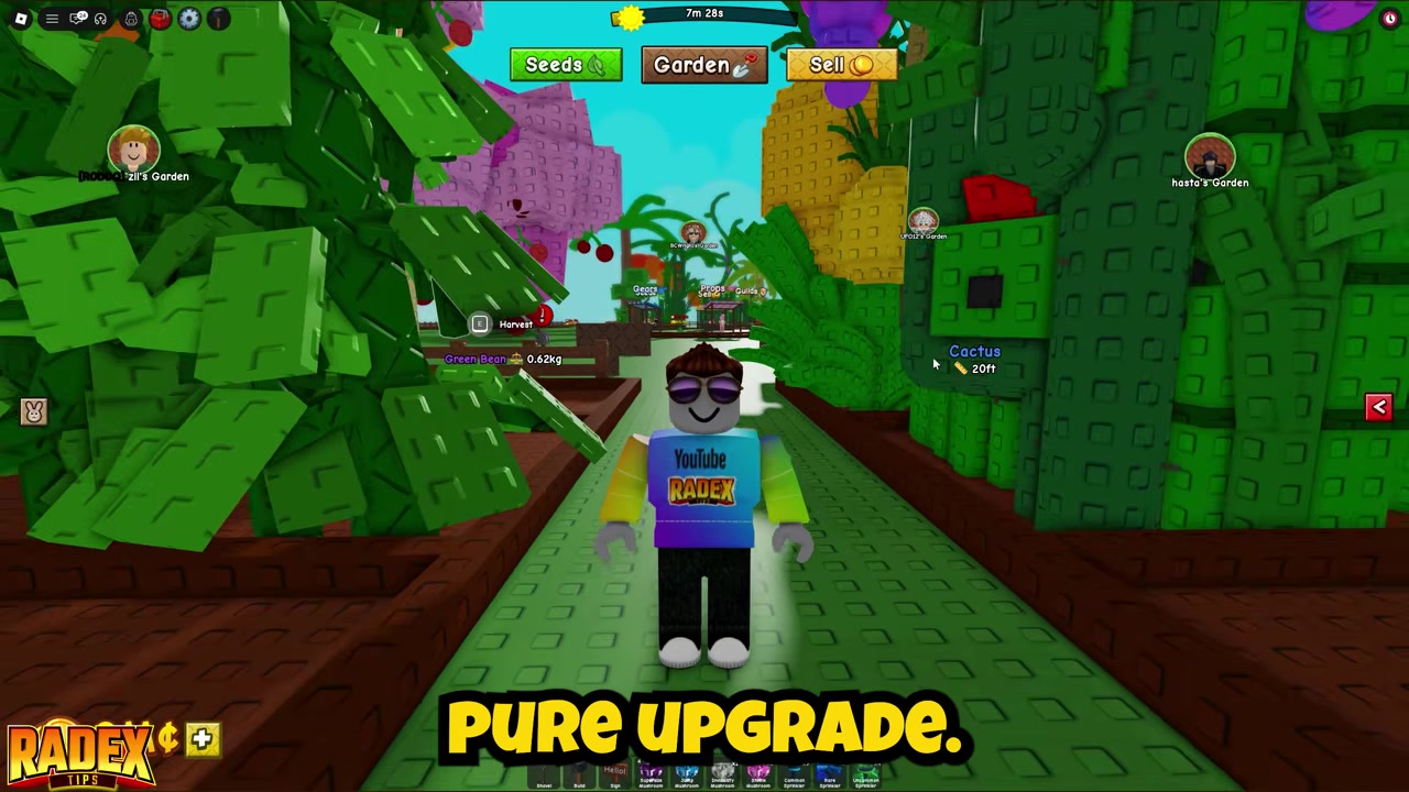 What the Turtle pet does in Grow a Garden 2