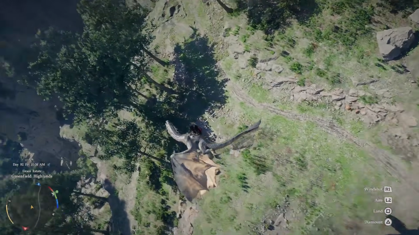 Baby Wyvern mount flying in Crimson Desert