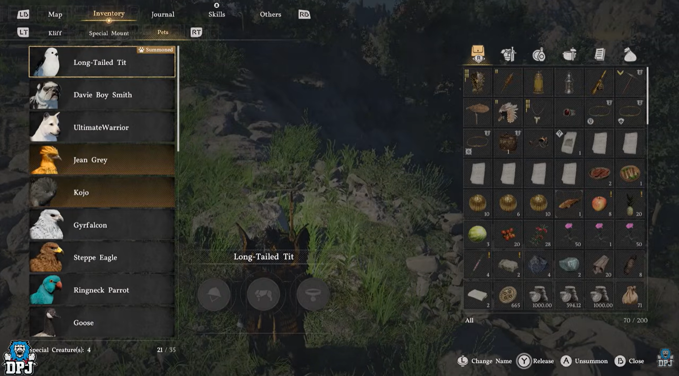 Crimson Desert Haven for Pets Guide: How to Unlock 100 Pet Slots After Patch 1.11.00