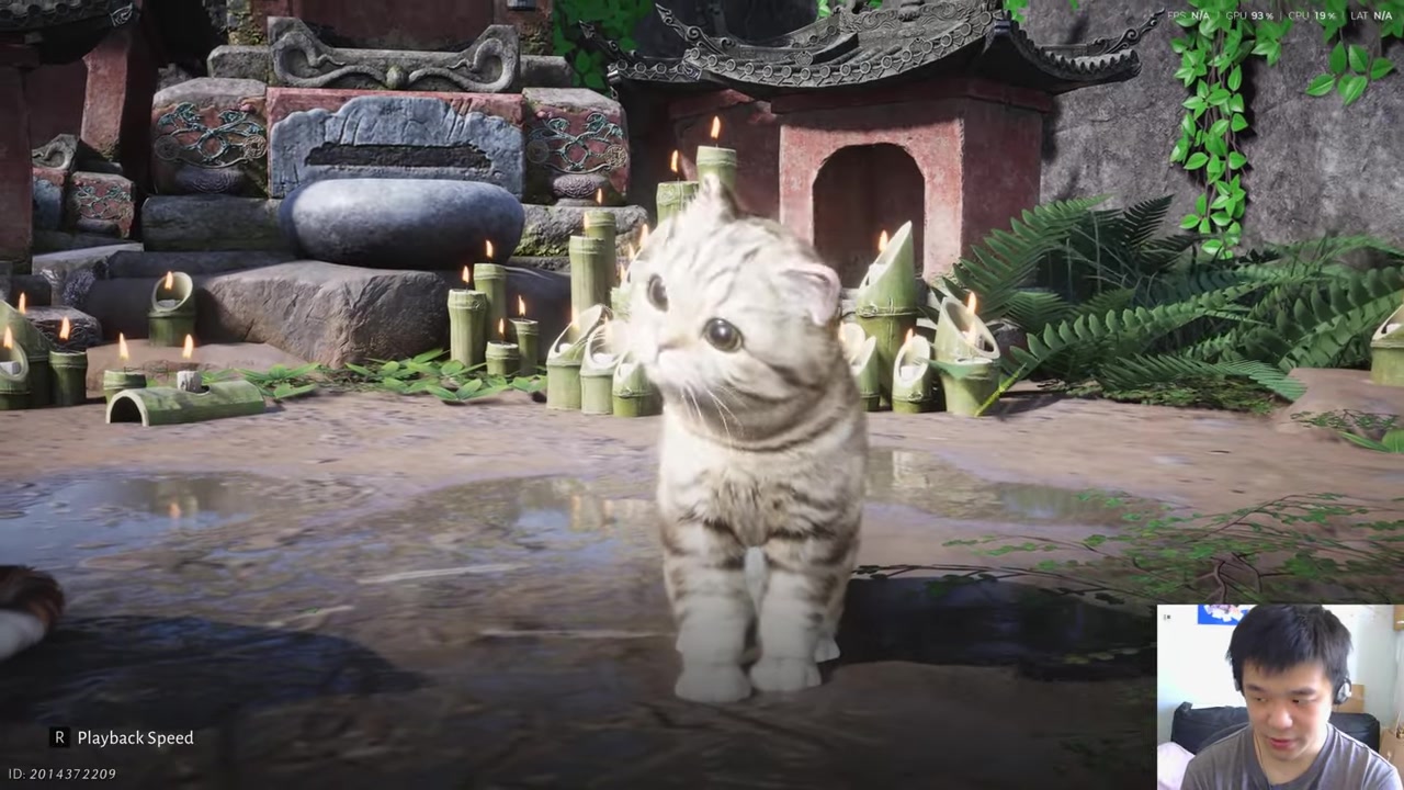 Watch for the Claw Step prompt