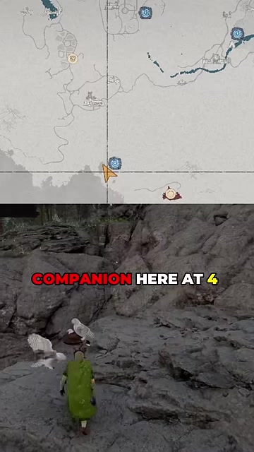 Recruit the owl companion