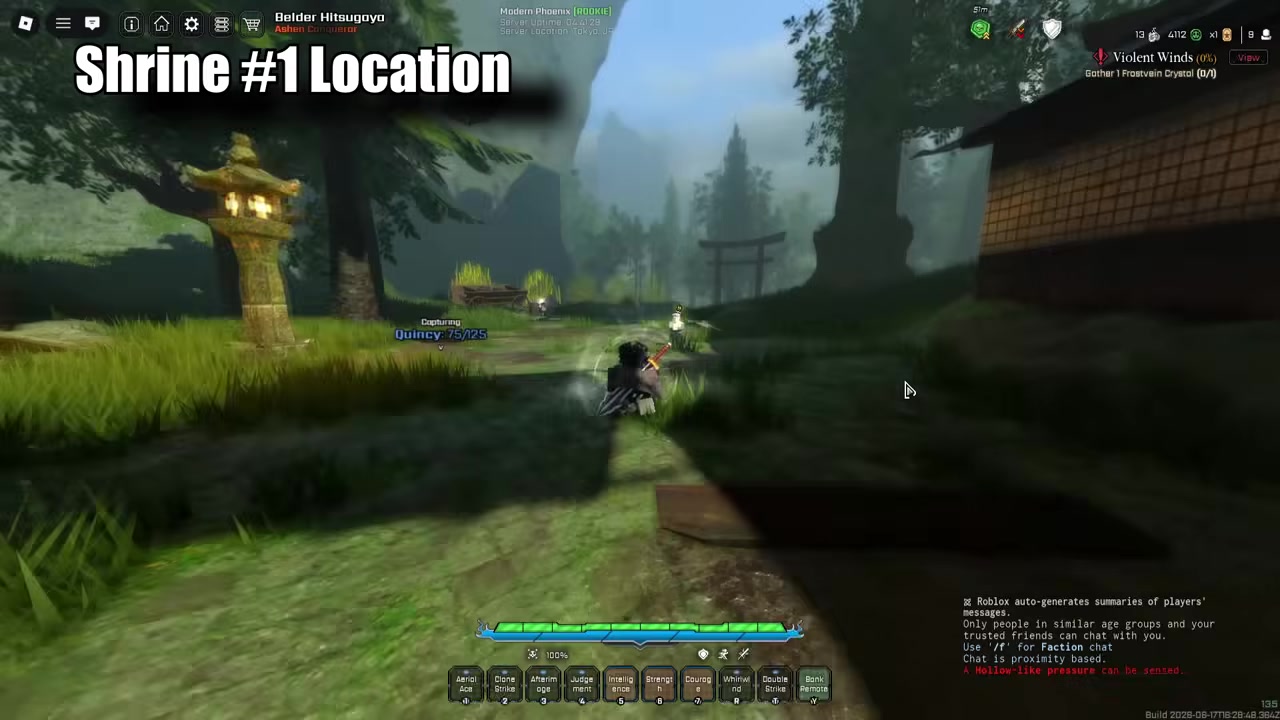 Start in the beginner village