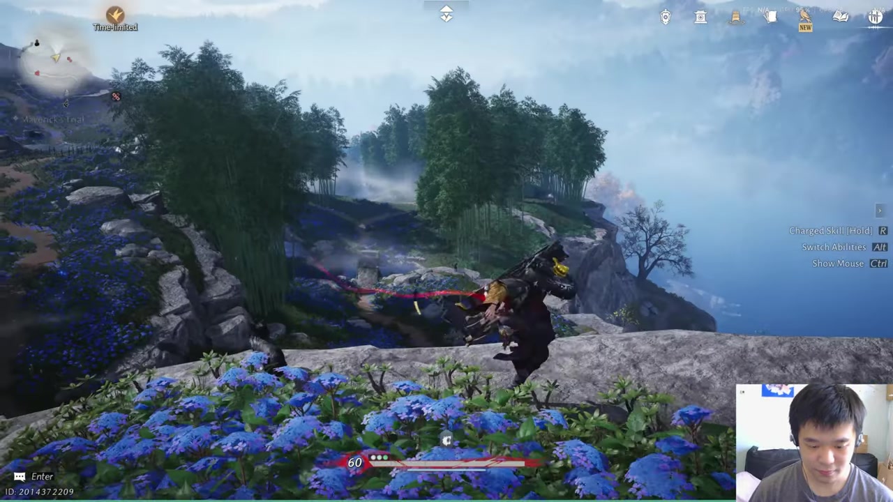 Clear the climb to the cat