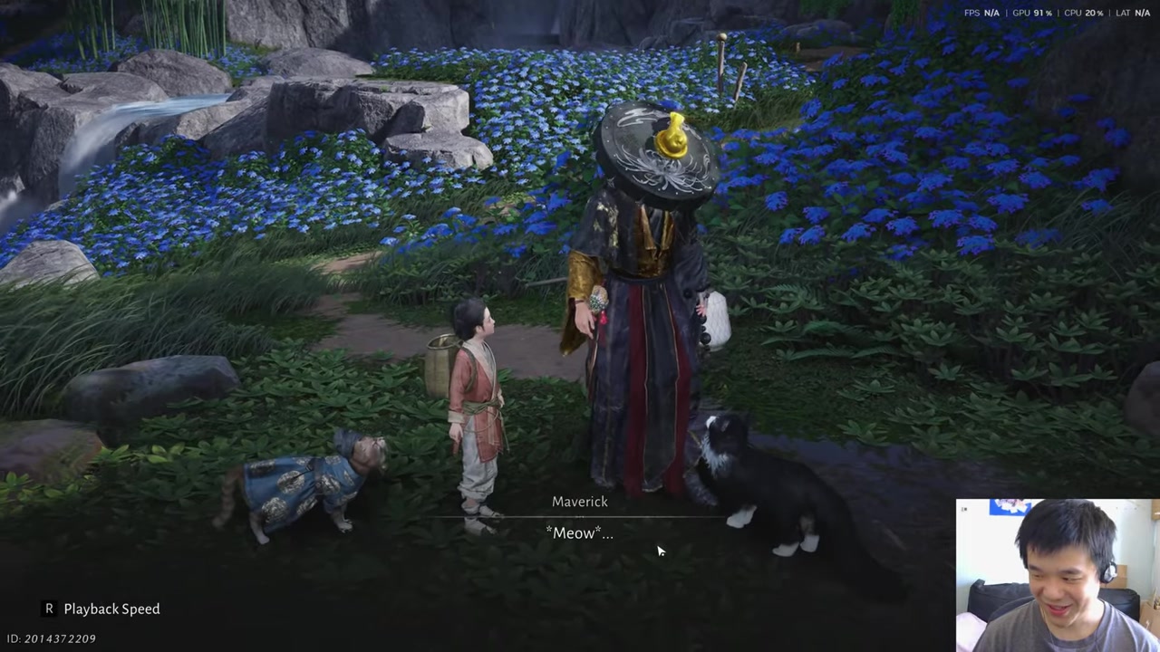 Confirm Cat Tamed