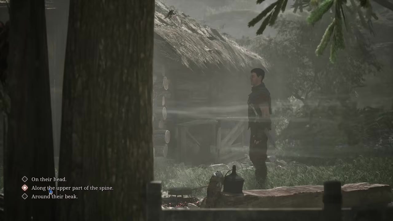 Answer the Scavengers test