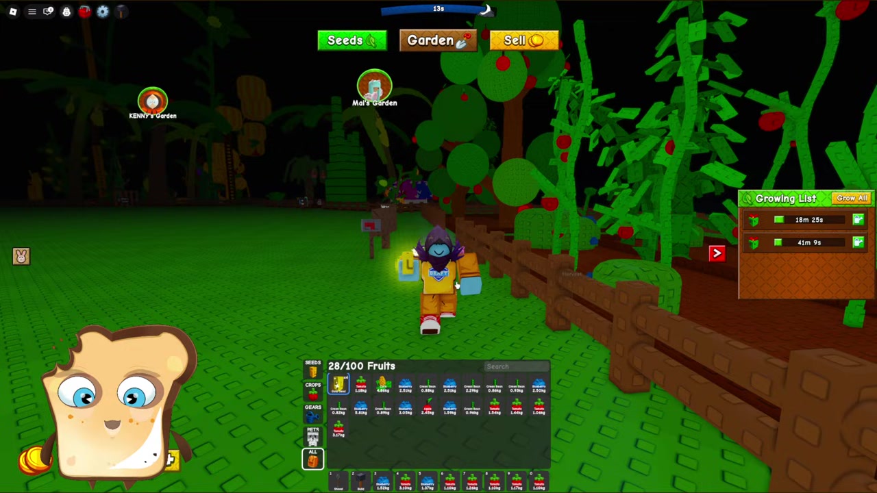 Play on a private server