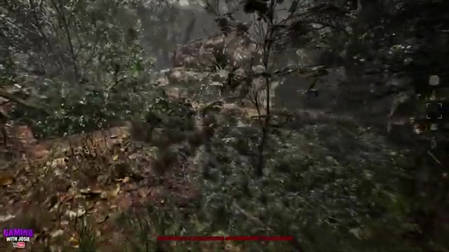 Turn right by the fallen log