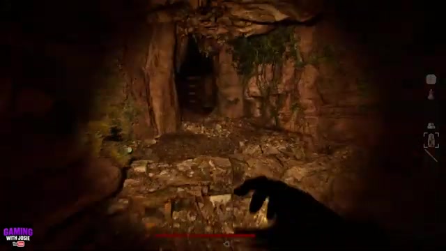 Climb the ladders after the cave