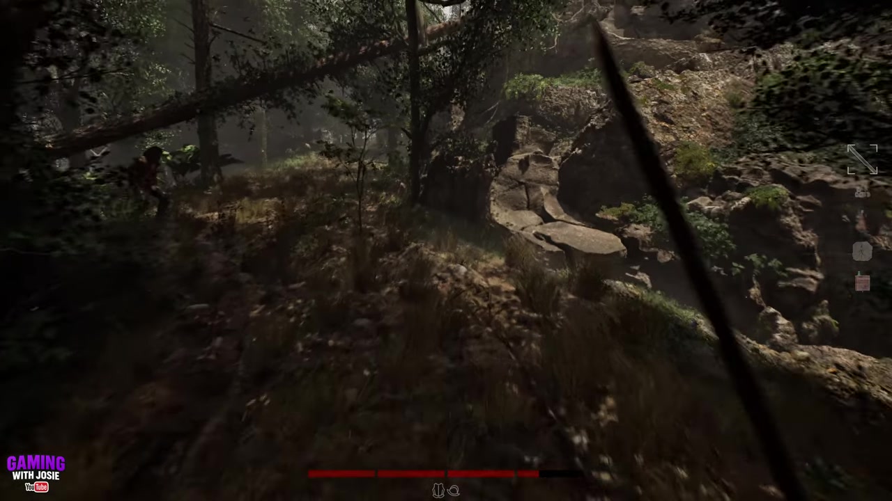 Pass under the fallen tree