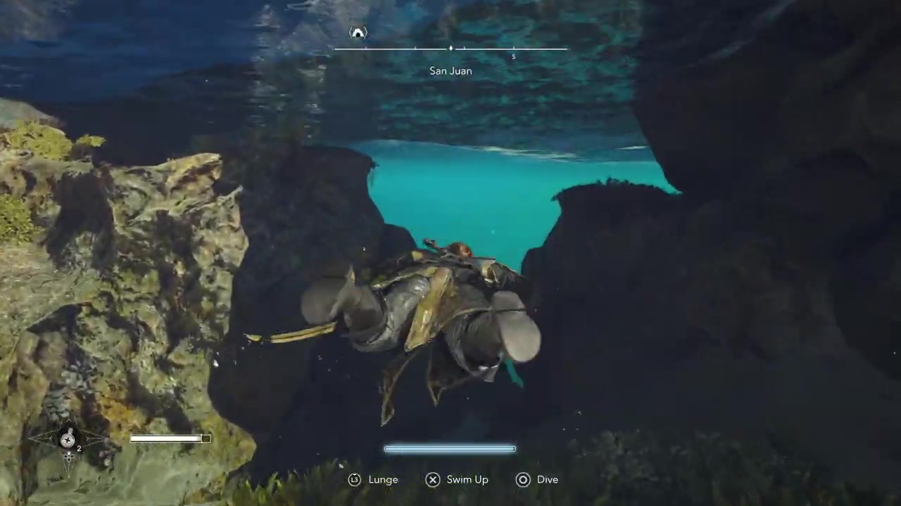 Dive near the jellyfish