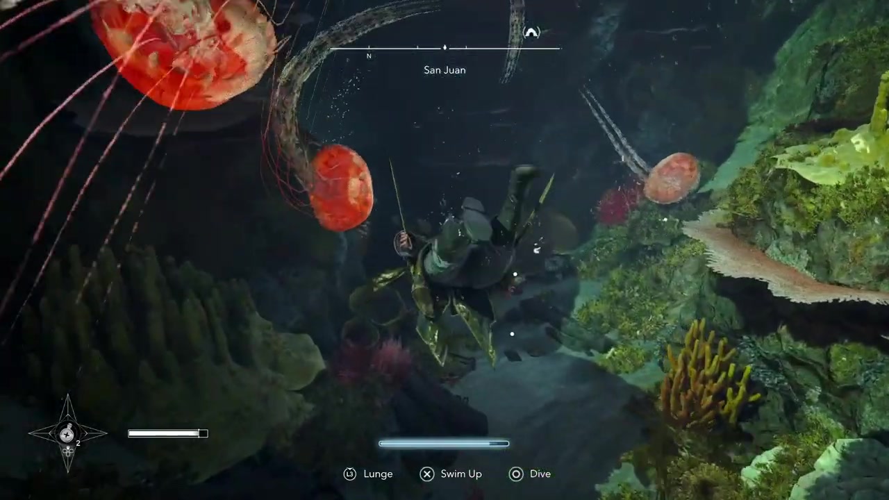 Swim north through the tunnel
