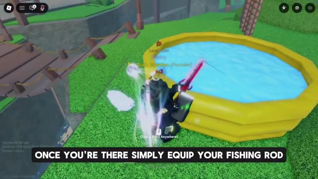 Fish in the pool