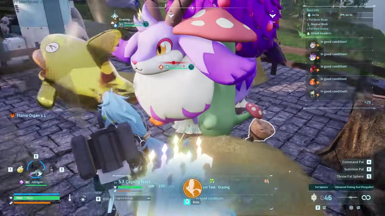 Collect the Cavern Mushroom