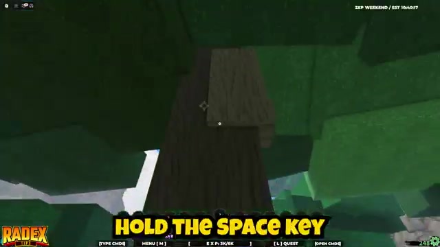 Release to launch