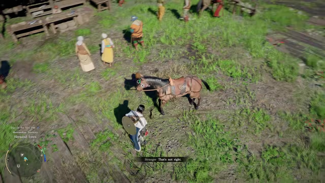 Let the horse eat