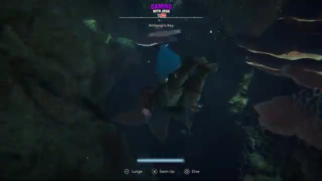 Follow the jellyfish cluster