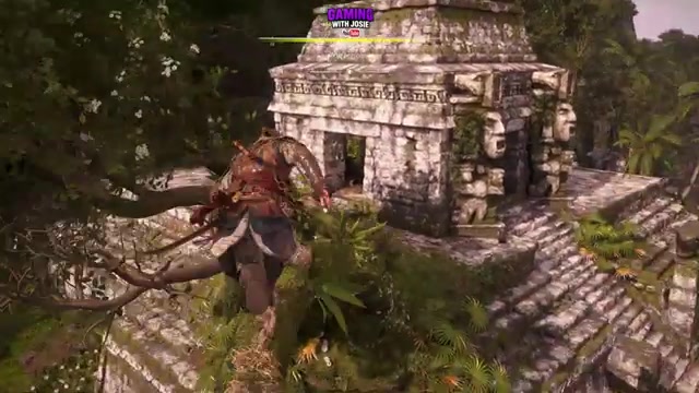 Do not jump down