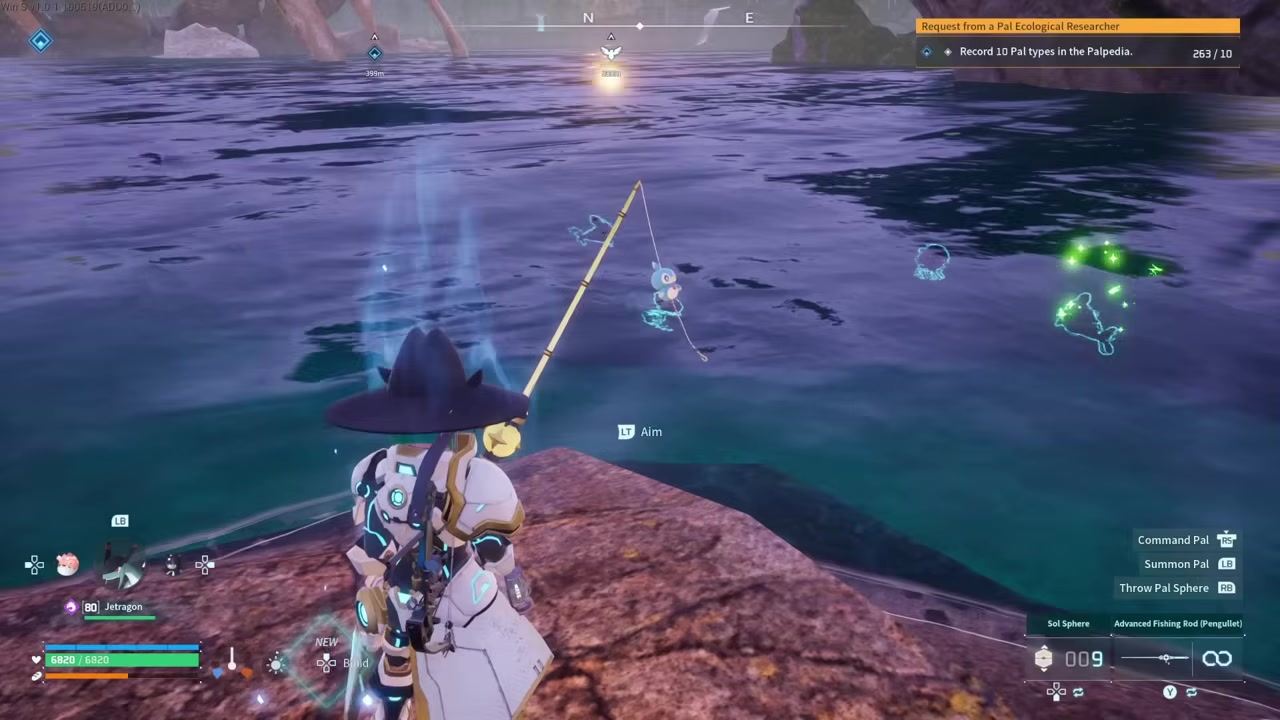 Spot the fish shadows